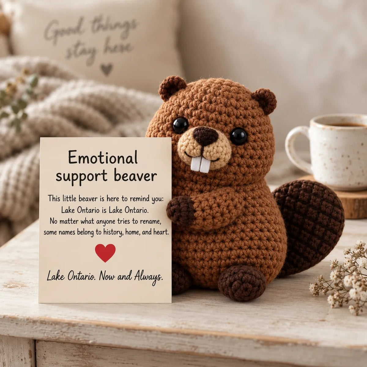 🦫 Lake Ontario Emotional Support Beaver Crochet Keepsake | 5 Canadian-Inspired Personalities with Matching Message Cards for Cottage Families, Lake Lovers & Meaningful Gifts 🍁